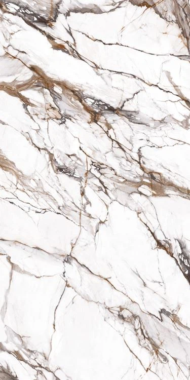 Calacatta Luxury-Quartz Backsplash